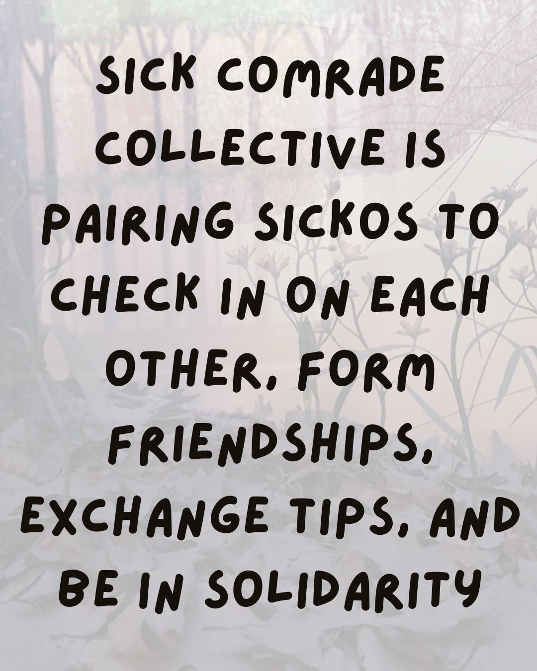 The same background and the text: "Sick Comrade Collective is pairing sickos to check in on each other, form friendships, exchange tips and be in solidarity" 